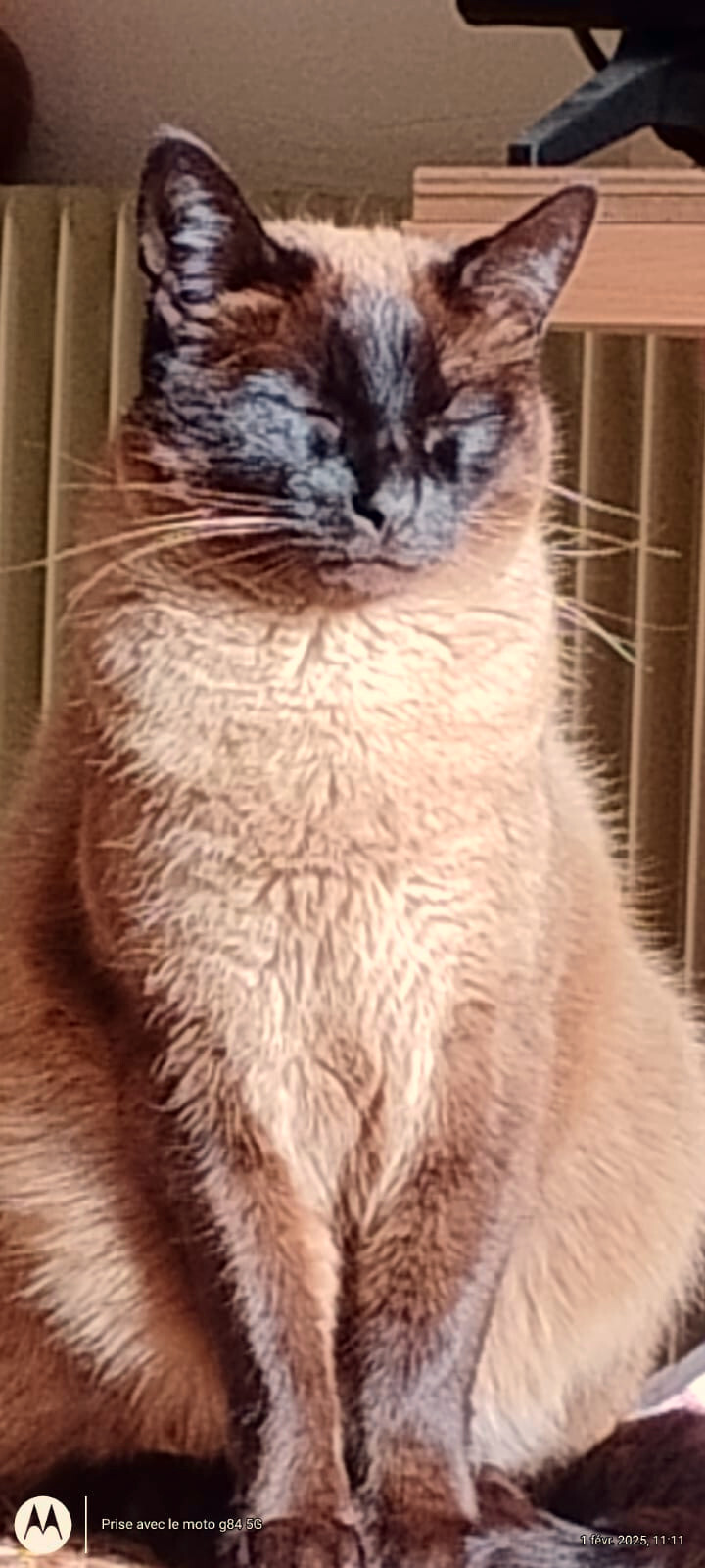 6371367.jpg 6371367.jpg