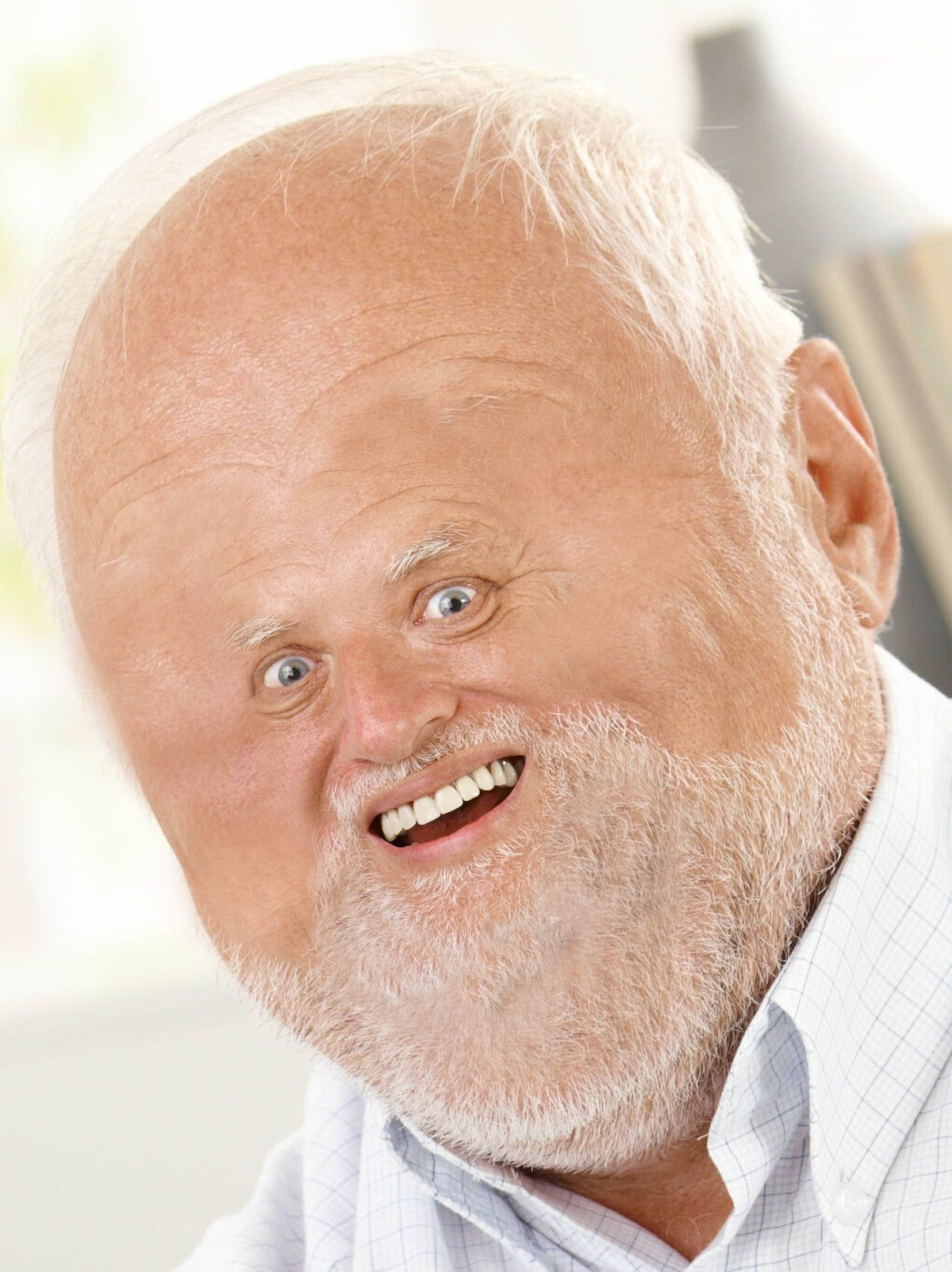 6371811.jpg 6371811.jpg