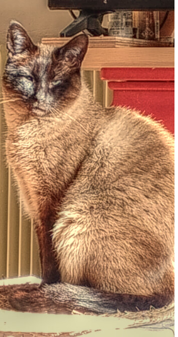 6371865.png 6371865.png