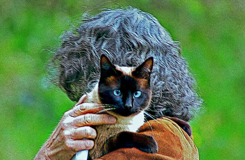 6372013.png 6372013.png