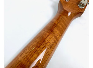 Maurice Dupont Saint-Louis (54612)