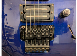 PXL 20250129 151417089.MP