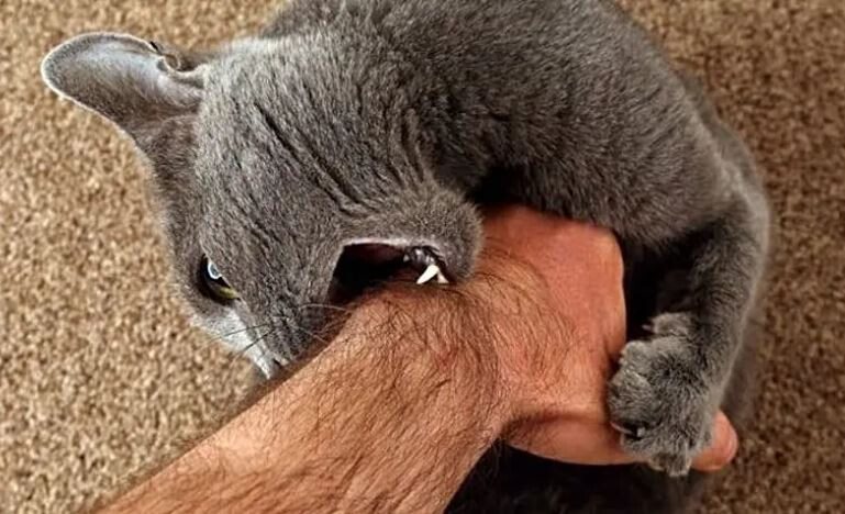 6373878.jpg 6373878.jpg