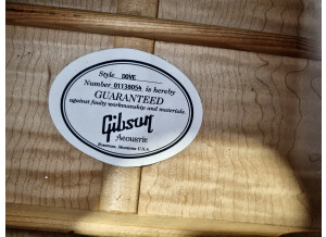 Gibson Dove (78021)