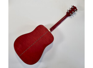 Gibson Dove (25363)