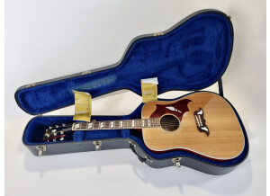 Gibson Dove (66928)