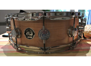 DW Craviotto solid Shell 14"x5.5"