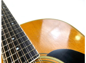 Martin & Co D12-35 50th Anniversary (21674)