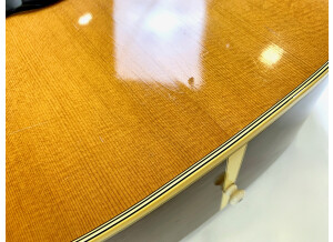 Martin & Co D12-35 50th Anniversary (21806)