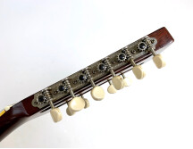 Martin & Co D12-35 50th Anniversary (80613)