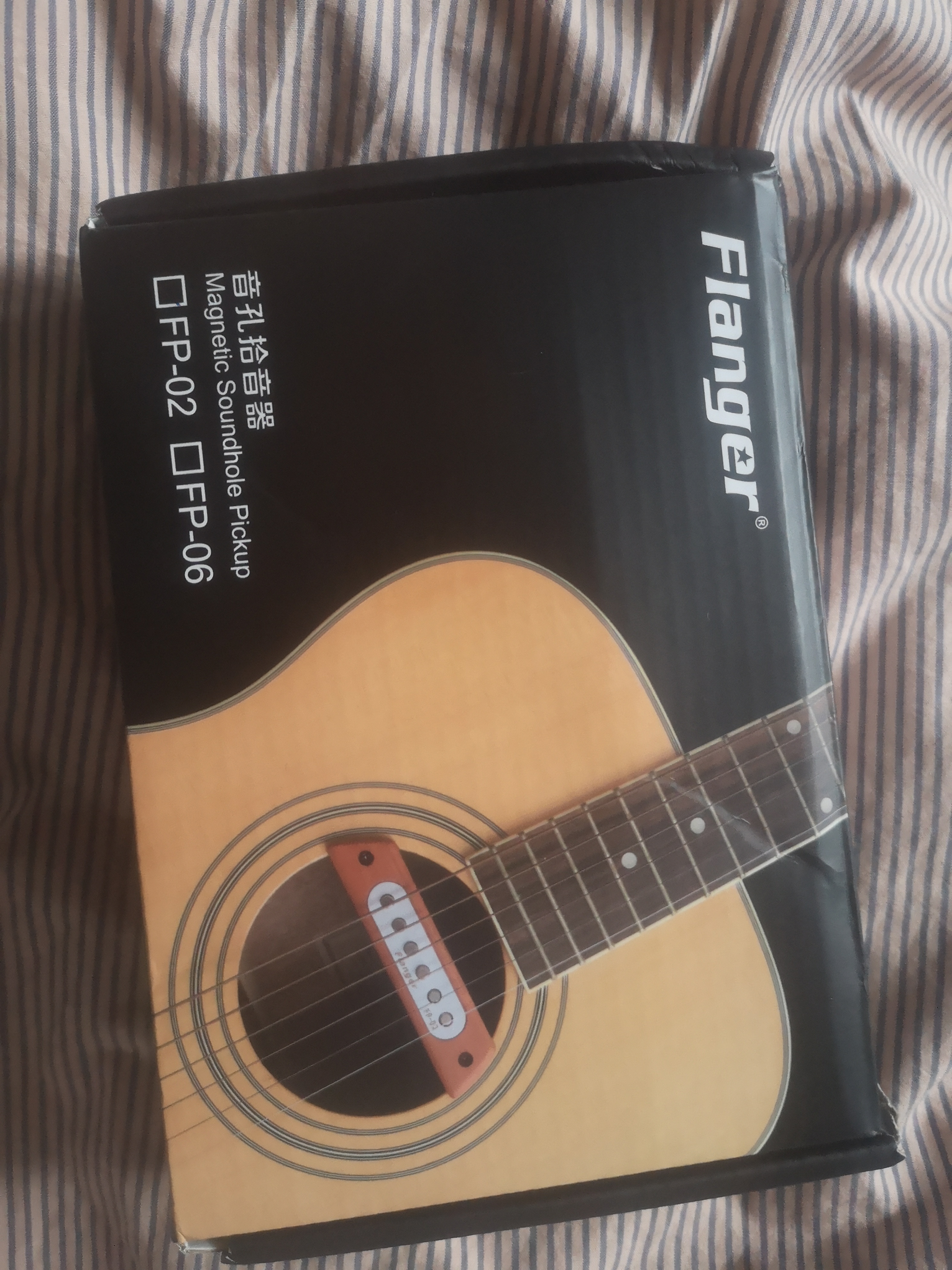 Flanger (marque) FP-02