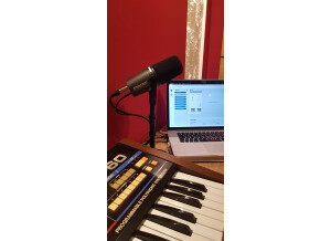 Shure Mv7i Record Juno Up