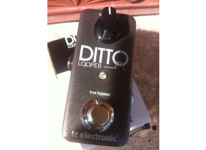 TC Electronic Ditto Looper (3852)