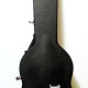 SG Standard With Coil-Tapping SG Standard With Coil-Tapping