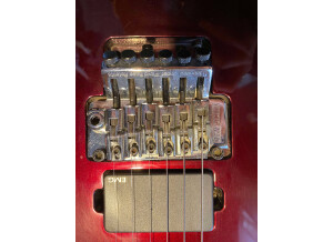 474439948 607279608612525 1540105679241132459 n