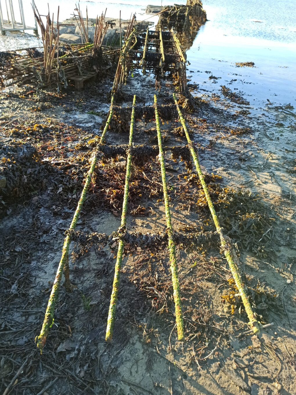 6382366.jpg 6382366.jpg