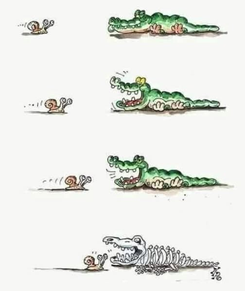 6382454.jpg 6382454.jpg