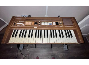 Casio Casiotone 401 (67776)