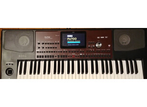 Korg Pa1
