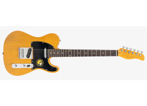 Larry Carlton T3 New Gen