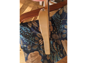 PXL 20250207 125620704