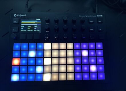 Synth 7 Synth 7