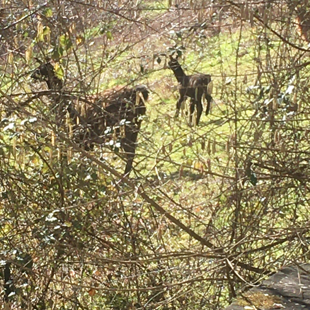 6388852.jpg 6388852.jpg