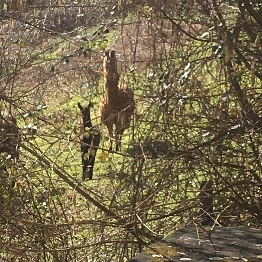 6388853.jpg 6388853.jpg