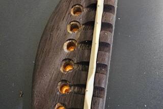 Ibanez AE100