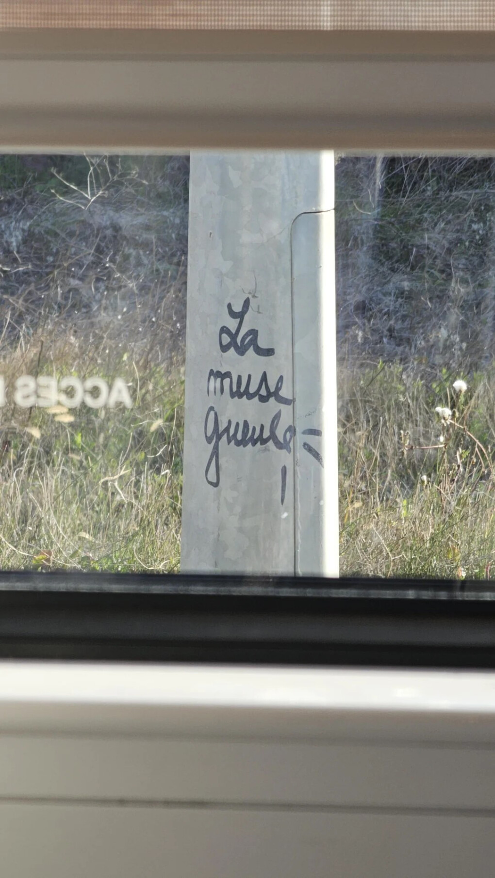 6389647.jpg 6389647.jpg