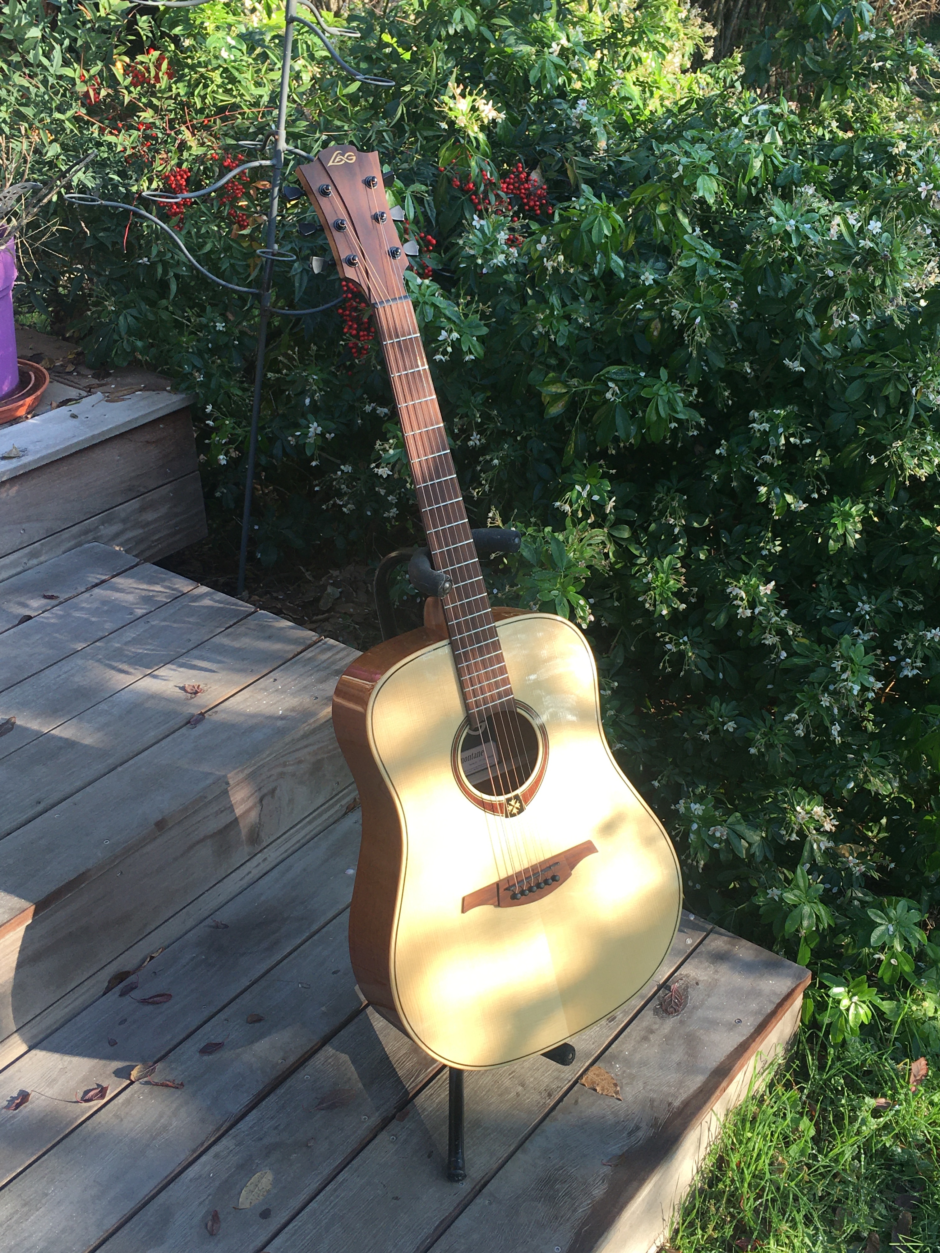 Vends guitare Lag T88d