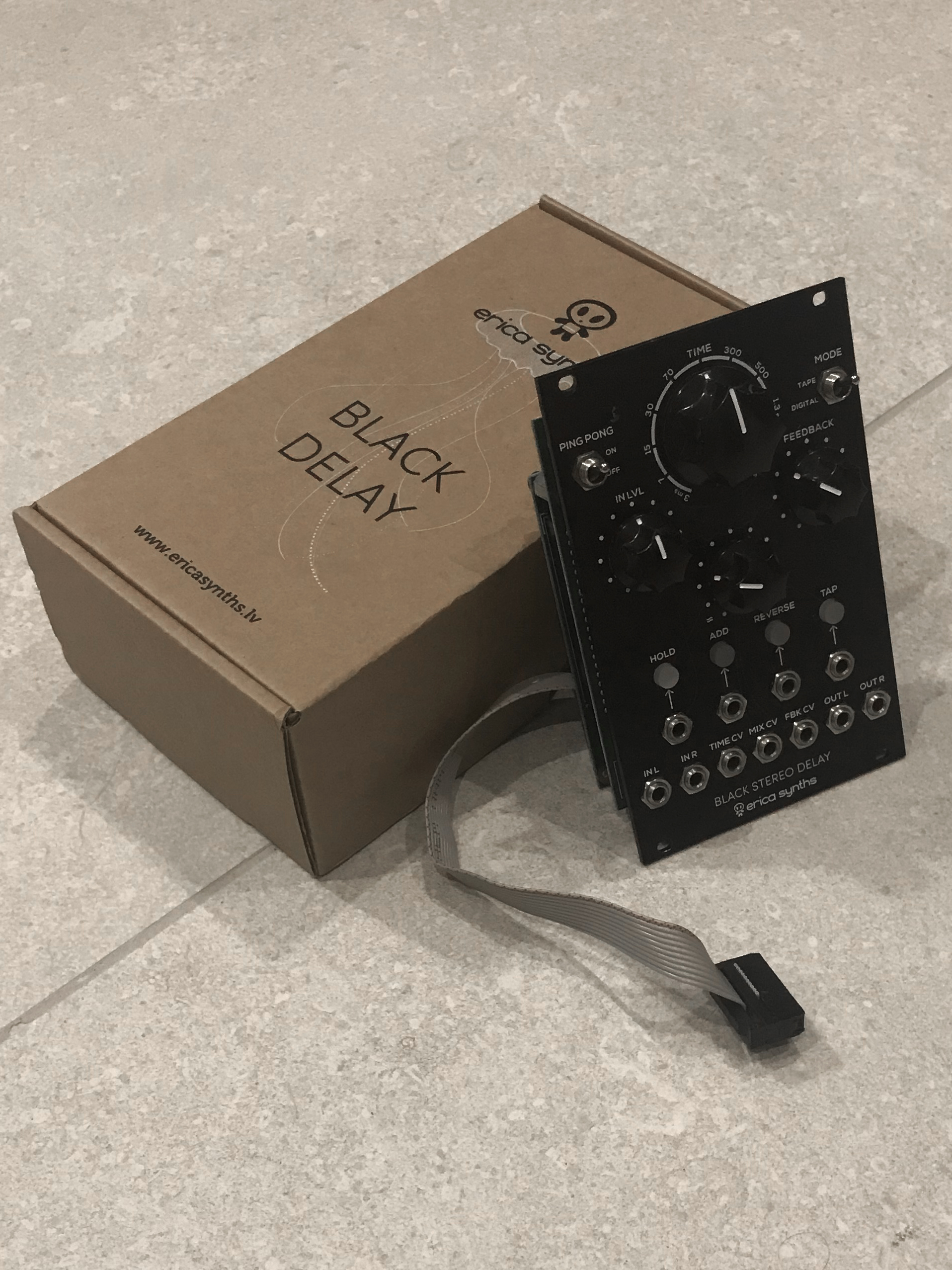 Erica Synths Black Stereo Delay (9315)