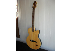 Yamaha AEX500NS - Amber