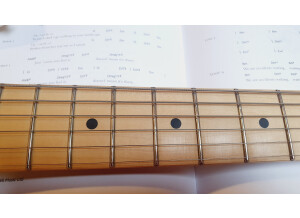 Fender EOB Sustainer Stratocaster (89487)