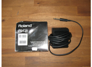 Roland switch DP2