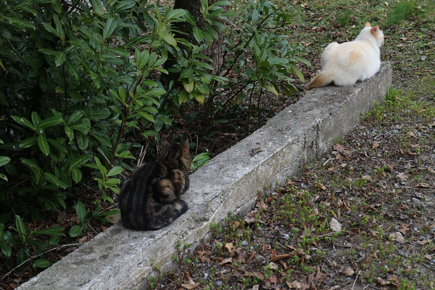 6393394.jpg 6393394.jpg