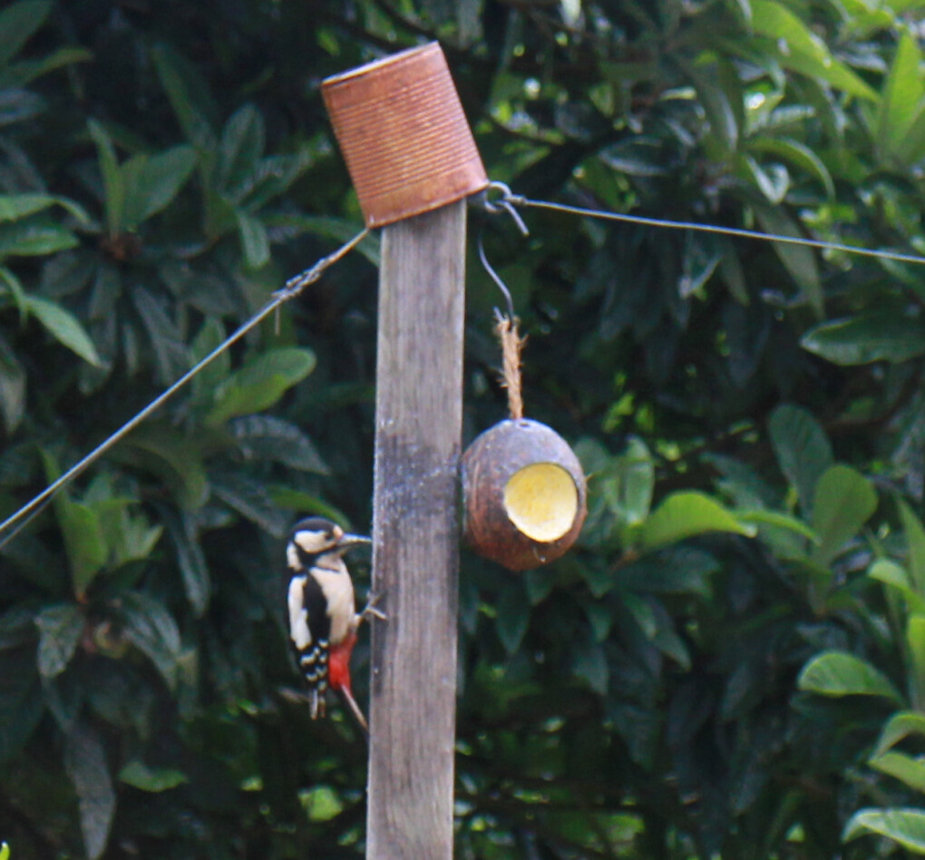 6393395.png 6393395.png