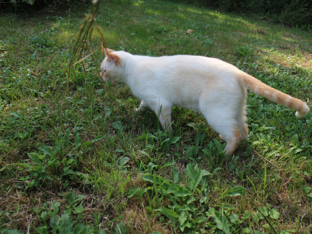 6393396.jpg 6393396.jpg