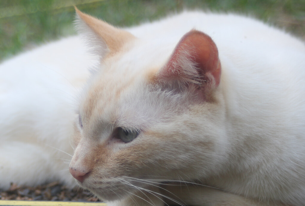 6393397.png 6393397.png