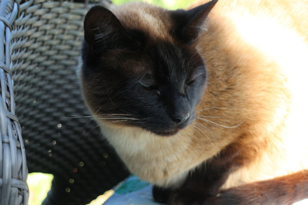 6393398.jpg 6393398.jpg