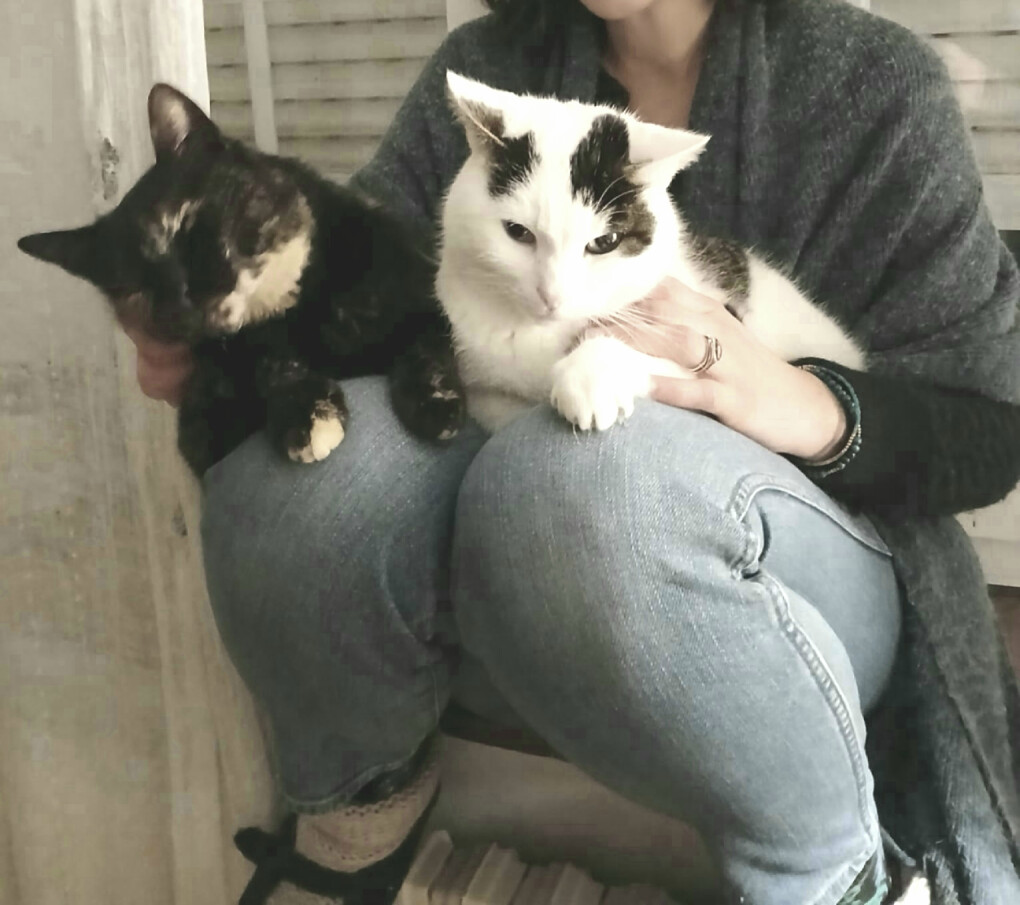 6393776.jpg 6393776.jpg