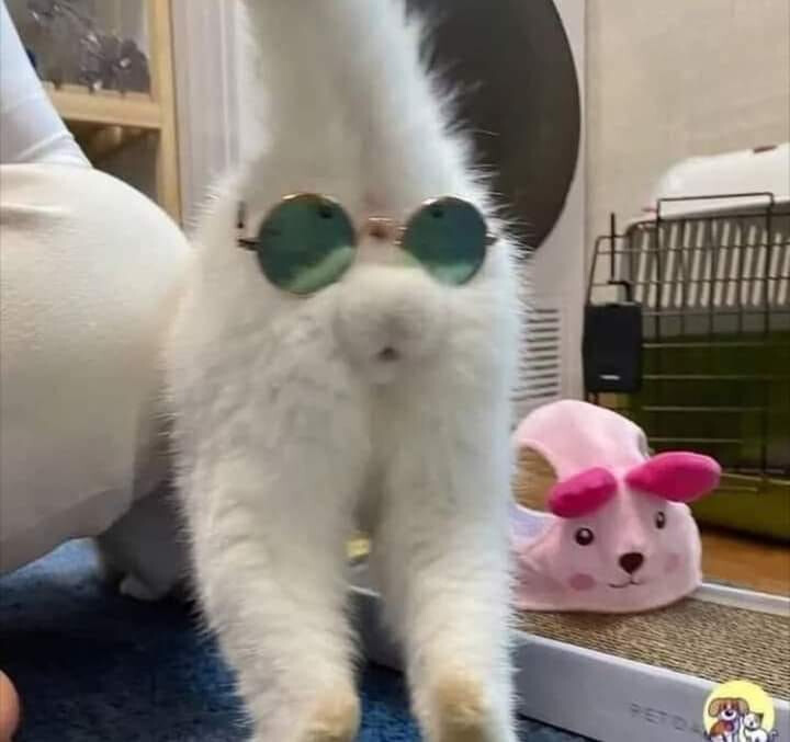 6394778.jpg 6394778.jpg