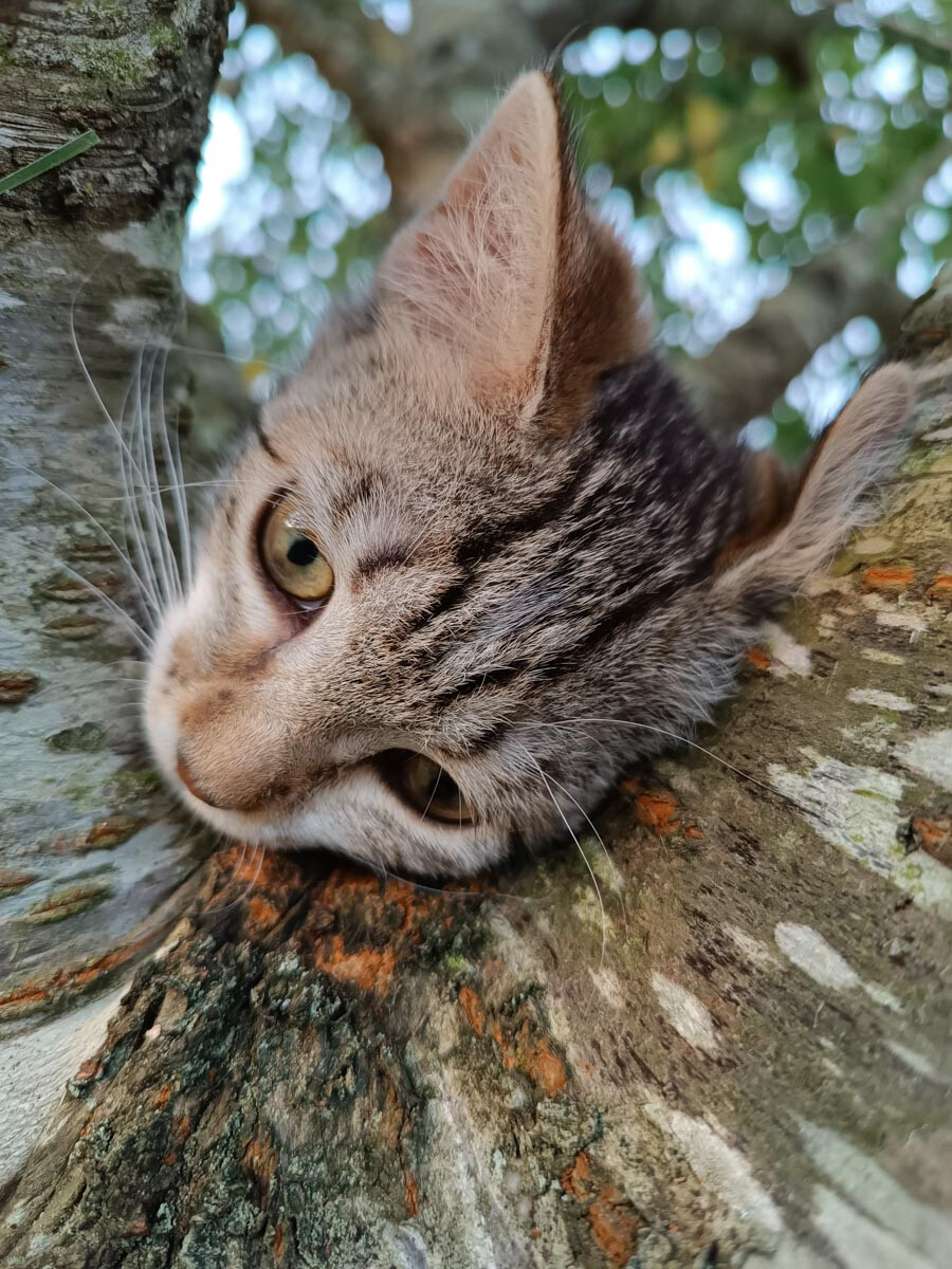 6394780.jpg 6394780.jpg