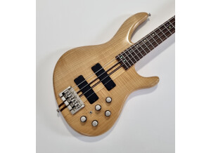 Cort Artisan A4 (45318)