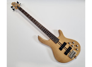 Cort Artisan A4 (359)