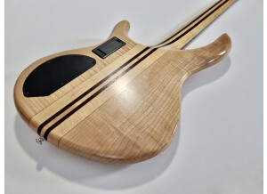 Cort Artisan A4 (27955)