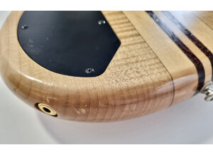 Cort Artisan A4 (60335)