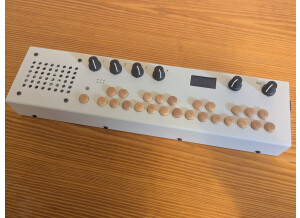 PXL 20250220 133547844