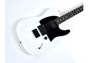 Fender Jim Root Telecaster (33947)