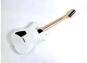 Fender Jim Root Telecaster (86679)